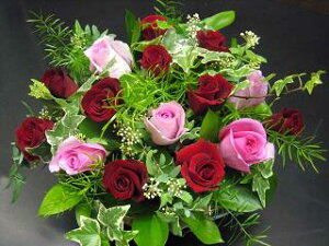 yisorajIWiAWg y}nb^za ԁ@t[AWg@av[g@JXj@JƏj@ yԁ@ړ]j@j@LO@