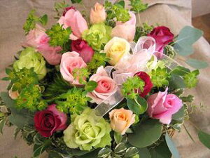 yisorajIWiAWg y[Y|bvza ԁ@t[AWg@av[g@JXj@JƏj@ yԁ@ړ]j@j@LO[