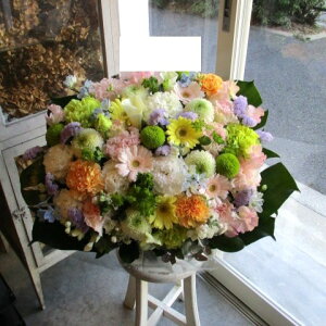 yisorajIWiAWg ypXehza ԁ@t[AWg@av[g@JXj@JƏj@ yԁ@ړ]j@j@LO 