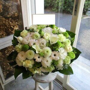 yisorajIWiAWg yzCgXm[za ԁ@t[AWg@av[g@JXj@JƏj@ yԁ@ړ]j@j@LO 