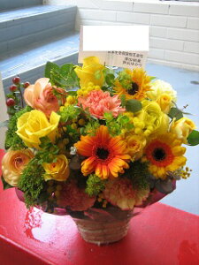 yisorajIWiAWg yT^[Uza ԁ@t[AWg@av[g@JXj@JƏj@ yԁ@ړ]j@j@LO 