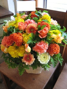 yisorajIWiAWg yT}mza ԁ@t[AWg@av[g@JXj@JƏj@ yԁ@ړ]j@j@LO 