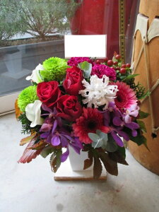 yisorajIWiAWg yAelza ԁ@t[AWg@av[g@JXj@JƏj@ yԁ@ړ]j@j@LO 