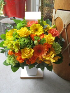 yisorajIWiAWg yTfBGSza ԁ@t[AWg@av[g@JXj@JƏj@ yԁ@ړ]j@j@LO 