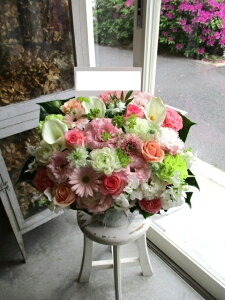 yisorajIWiAWg yG[fCXza ԁ@t[AWg@av[g@JXj@JƏj@ yԁ@ړ]j@j@LO 