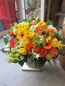 yisorajIWiAWg yT^jJza ԁ@t[AWg@av[g@JXj@JƏj@ yԁ@ړ]j@j@LO 