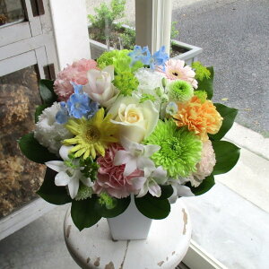 yisorajIWiAWg y\tgJ[za ԁ@t[AWg@av[g@JXj@JƏj@ yԁ@ړ]j@j@LO 