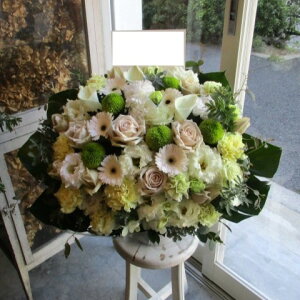 yisorajIWiAWg yVxAza ԁ@t[AWg@av[g@JXj@JƏj@ yԁ@ړ]j@j@LO 