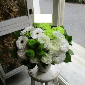 yisorajIWiAWg yZg[Xza ԁ@t[AWg@av[g@JXj@JƏj@ yԁ@ړ]j@j@LO