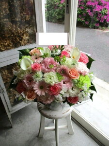 yisorajIWiAWg yXgx[sNza ԁ@t[AWg@av[g@JXj@JƏj@ yԁ@ړ]j@j@LO