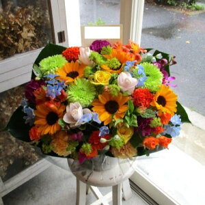 yisorajIWiAWg yT^ETAza ԁ@t[AWg@av[g@JXj@JƏj@ yԁ@ړ]j@j@LO