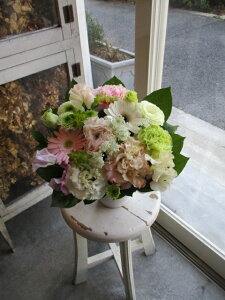 yisorajIWiAWg yZ[kza ԁ@t[AWg@av[g@JXj@JƏj@ yԁ@ړ]j@j@LO@@