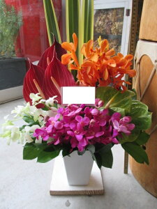 yisorajIWiAWg yv[Pbgza ԁ@t[AWg@av[g@JXj@JƏj@ yԁ@ړ]j@j@LO 