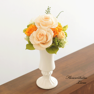 õAWgi6FjSăvU[uht[gpEԊɌŒ肵AWg j a