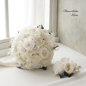 ̃EBfBOu[P Ehu[P u[gjAt?̃Ehu[PEu[gjA?SăvU[uht[gp OB C FŊ| P[VBe