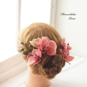 IW̌Ӓ̔@AlȂǂ̂ɍ킹  wA[ANZT[ C Ǝ