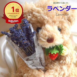 xǖ색x_[̃hCt[u[P  v[gxAS y  z hCt[ Mtg a LO j  d oYj } Əj wj  ʂ