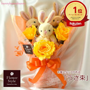 bunnybunnybunny  3C ԃo y  z CpNg TvCY Mtg a LO j  oYj } Əj wj \ Cu y ACh ʂ