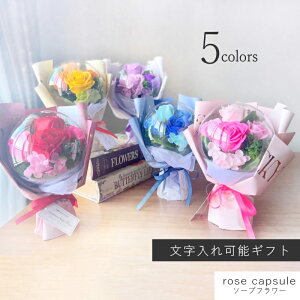 [YJvZu[P y  z ݌Ɍ ʉi NAP[Xt \[vt[ V{t[ ԑ u[P [Yu[P \ LO a LO j ޏ  h