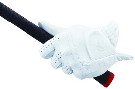 キャスコ(Kasco) ゴルフグローブ SILKY FIT シルキーフィット キャデットサイズ メンズ GF-17252 ホワイト 23cm