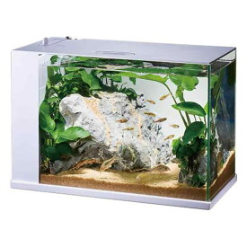 ジェックス GEX ガラス AQUARIUM ラクテリア 水換え簡単水槽 サカナ用 フィルター・LED付き W34×D17.5×H24cmホワイト