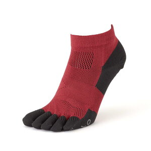 [^rI] [VOvܖ{w\bNX 23.0`25.0cm { X|[c\bNX [YsN