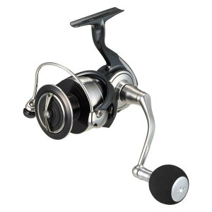 _C(DAIWA) ^XsjO[ 24Ze[g SW 6000-H