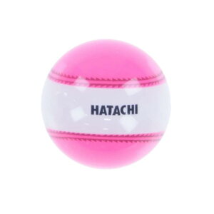HATACHI(n^`) OEhSt {[ irQ[V{[