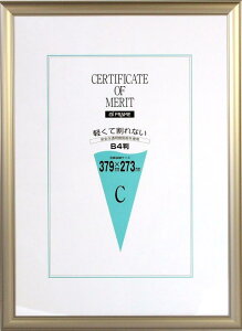C^ z ܏z B4 A~t[ O[ AS-20-B4-SP