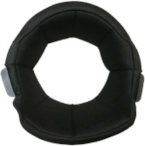 [[hH] IvV RX-100Rp wbhpbg MTCY RX-100RN/M