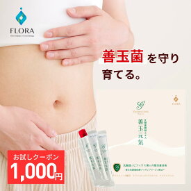【1000円ポッキリ】乳酸菌 ゼリー サプリ 善玉元気 お試し 10日分 善玉菌 短鎖脂肪酸 乳酸菌ゼリー 乳酸菌生成エキス 乳酸菌発酵エキス 乳酸菌生産物質 バイオジェニックス プロバイオティクス サプリメント 食物繊維 お通じ 腸活 腸内環境 フローラ健康科学研究所 国産