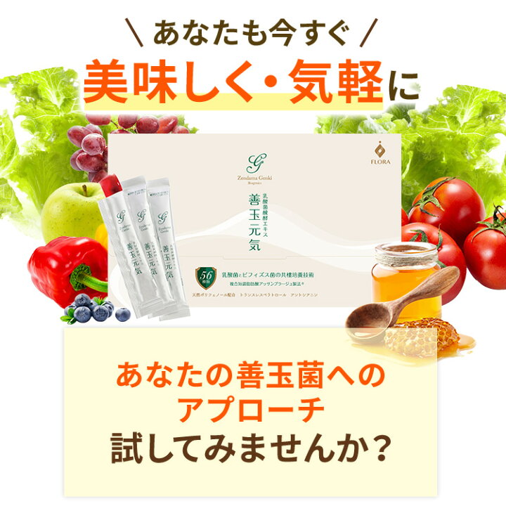 楽天市場】善玉元気 乳酸菌 サプリ 30日分×6箱 約6ヶ月分 フローラ健康 