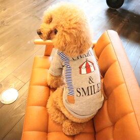 犬　犬服　小型犬　スエット　TシャツサスペンダーTシャツ