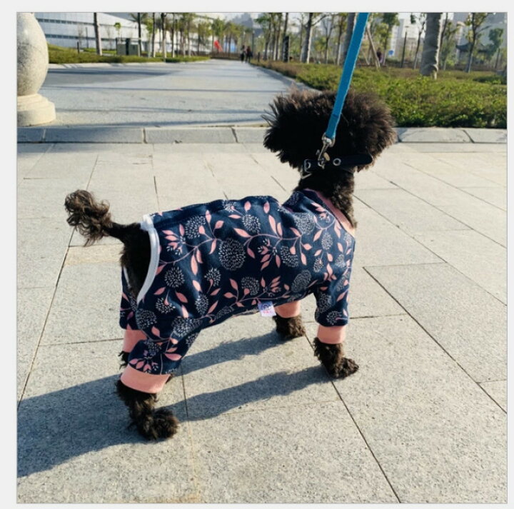 楽天市場 犬 犬服 小型犬 術後服 手術 傷舐め防止 ケア服 長袖明るくなれる術後服 Fluffy 3f楽天市場店 楽天市場 犬 犬服 小型犬 術後服 手術 傷舐め防止 ケア服 長袖明るくなれる術後服 Fluffy 3f楽天市場店