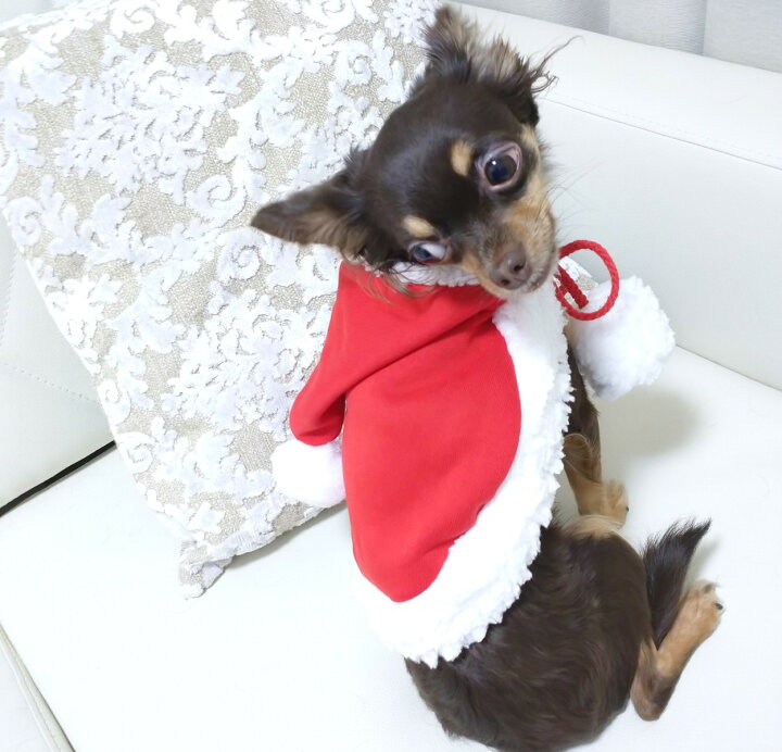 楽天市場 ペット 犬 犬服 犬の服 猫の服小型犬 ケープ マント コスプレクリスマスマント Fluffy 3ｆ楽天市場店