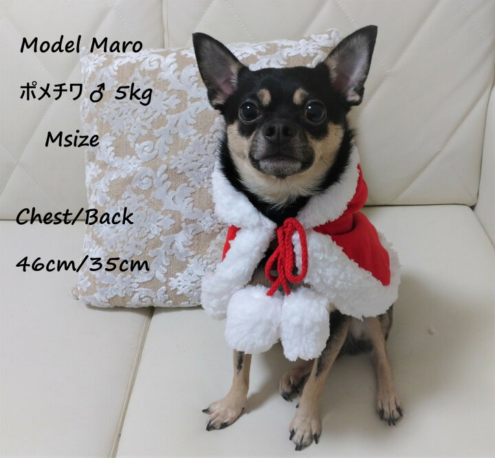 楽天市場 ペット 犬 犬服 犬の服 猫の服小型犬 ケープ マント コスプレクリスマスマント Fluffy 3ｆ楽天市場店