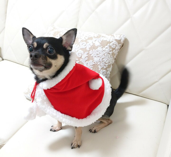 楽天市場 ペット 犬 犬服 犬の服 猫の服小型犬 ケープ マント コスプレクリスマスマント Fluffy 3ｆ楽天市場店