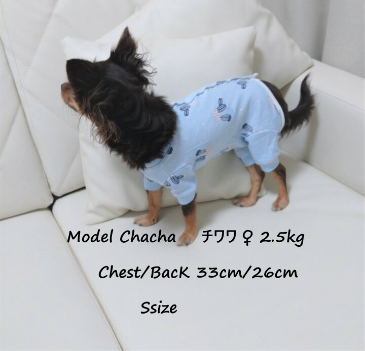 楽天市場 犬 犬服 小型犬 術後服 手術 傷舐め防止 ケア服 長袖明るくなれる術後服 Fluffy 3f楽天市場店 楽天市場 犬 犬服 小型犬 術後服 手術 傷舐め防止 ケア服 長袖明るくなれる術後服 Fluffy 3f楽天市場店