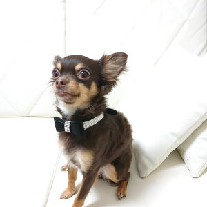 @L@@L@U[@ց@^@ubN@sN@ANAu[Xg[t{