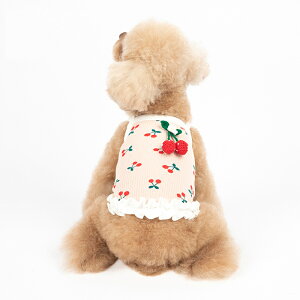 @@̕@^@hbOEGAgbvXL~\[