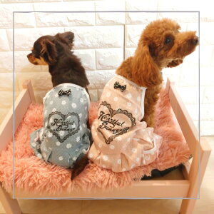 @@̕@^@pc@p[X@Jo[I[p[X