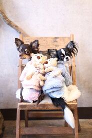 新商品　犬　犬服　犬の服　小型犬　トップス　ボア　秋冬　クマおんぶクマボアトップス
