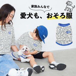 TVcybg [ ` [M[ |jA gCv[h ps }`[Y pO Č r[O ]