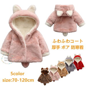 xr[ {AR[g t[ht hR[g LbY qE ȃR[g ȃWPbg RRR[g q AE^[ j̎q ̎q q {AR[g gbvX   y h