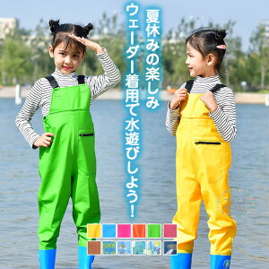 vCEFA h ߉\ ꒅ q  EF[_[ hY{ q C H I[o[I[  Cpc CV[Y LbY CEFA Y{ qp EF[_