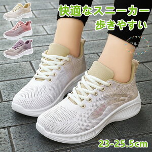 Xj[J[ fB[X Xj[J[ C EH[LOV[Y jOV[Y WMOV[Y X|[cV[Y ^C _CGbg ₷ y  ꂢ JWA y