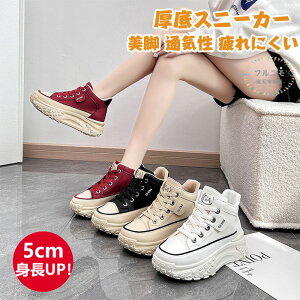  Xj[J[ fB[X Xj[J[ EH[LO V[Y C y h h ꂢ   ₷ y 5cm _bhXj[J[ r ؍ V[Y  Ȃ 