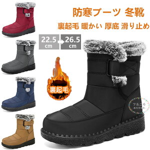 Xm[u[c _Eu[c Y fB[X N hu[c {AV[Y h ۉ Xm[V[Y ~C Ȃ  hC AEghA ʊw  C V[gu[c AEg