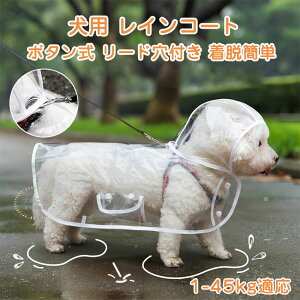 p CR[g |` H  n pCR[g y ϋv h ~J EȒP   ?O J Xqt h h h ^ ^ p J Jbp hbOEFA Vv {