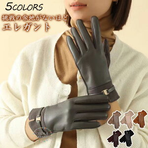  fB[X v _炩 g O[u ĂԂ ~p v 5{w O[u hۉ N h  킢 Ԃ  H ~  ʋ ʊw ] 